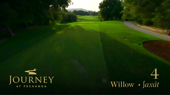 Willow